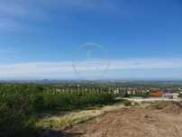 Реф. 709 Парцел Брестник