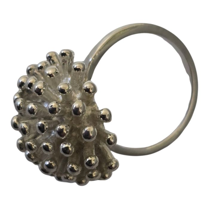 Inel argint deosebit