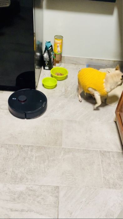 Xiaomi Mi Robot Ultra Mop 2 PRO Vacuum робот прахосмукачка и моп