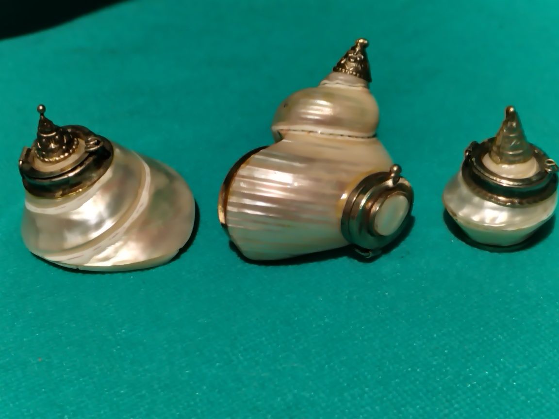 Kumkum Bharani  Shell