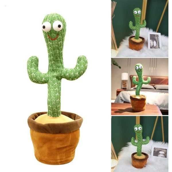 Jucarie cactus vorbitor