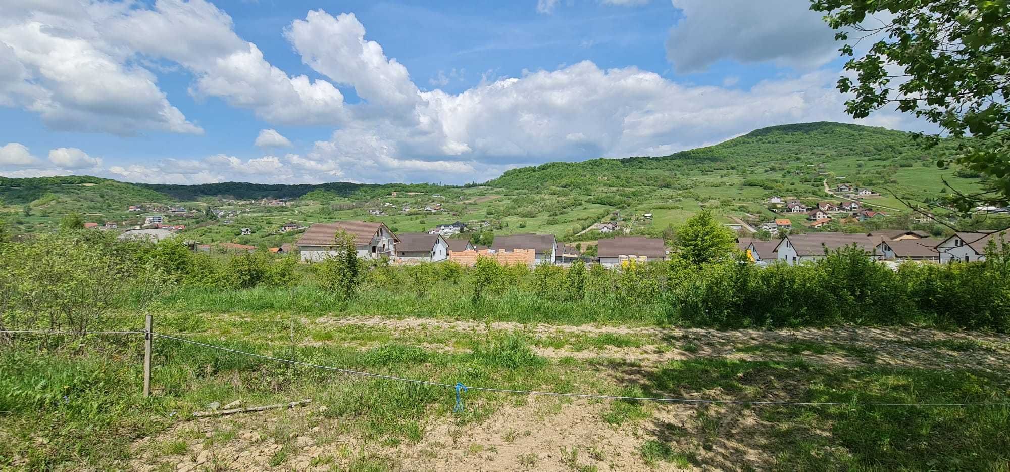 Teren 15 ari cu verdeata si panorama superba Str Paltinului Bistrita