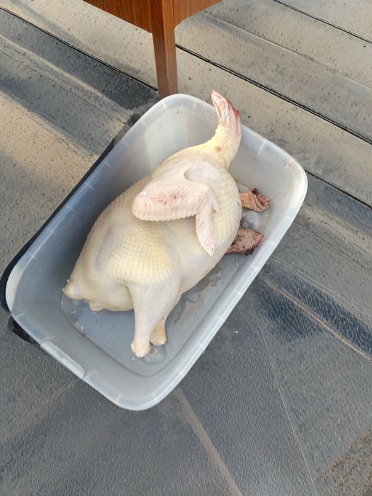 Продам  домашние