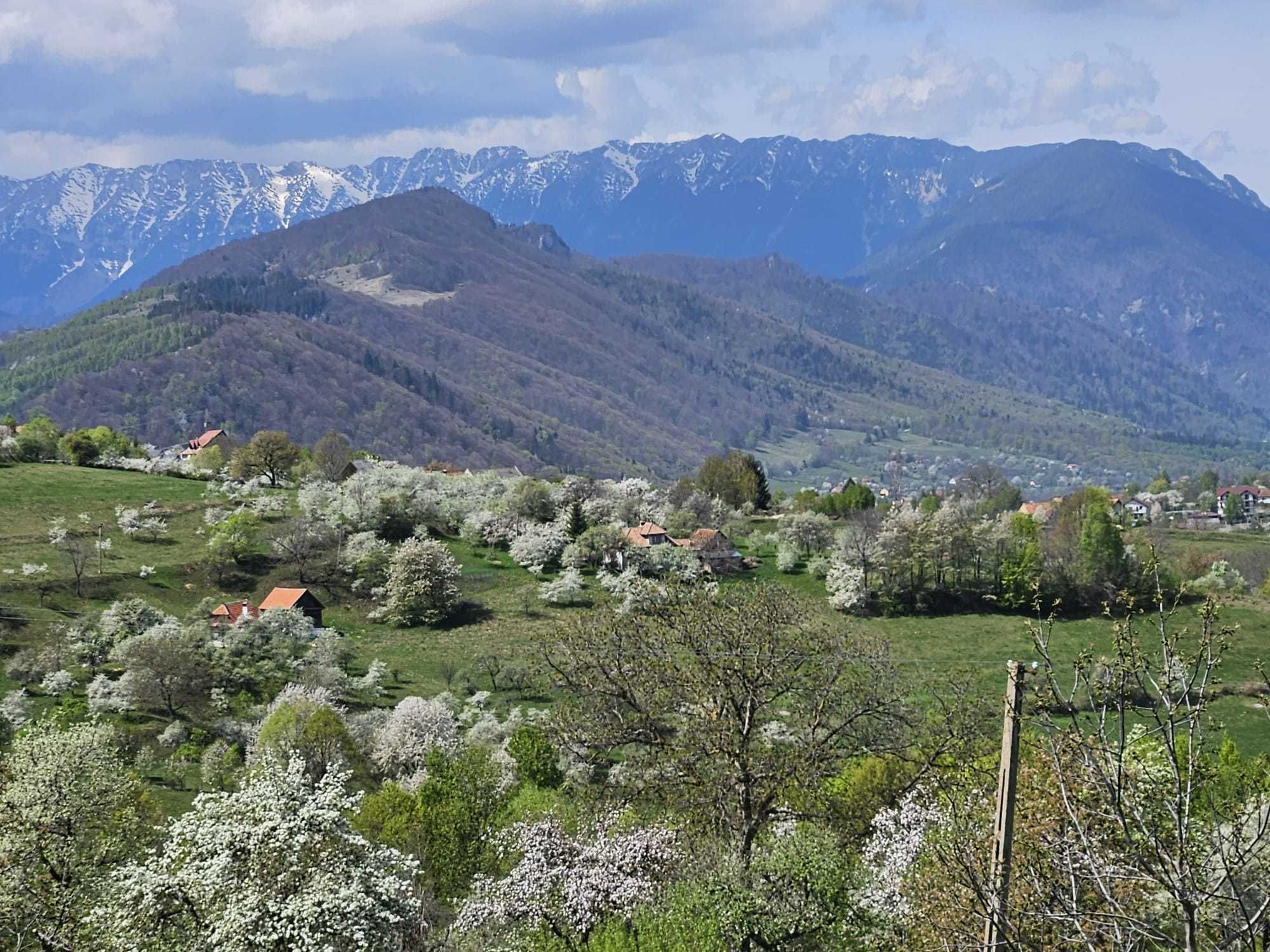 Cazare Casa Drumul dintre Munti