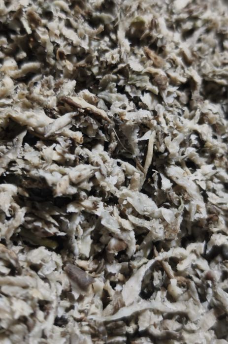 Taietei de sfecla de zahar de vanzare