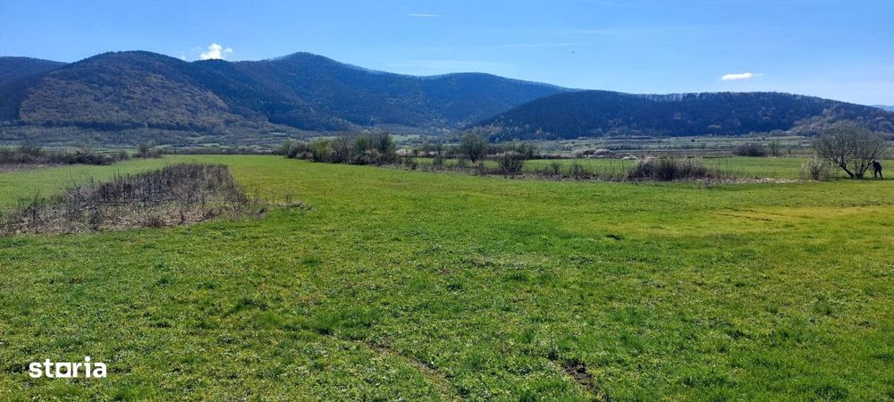 Teren  2250mp extravilan ,spre vanzare la iesirea din Poplaca