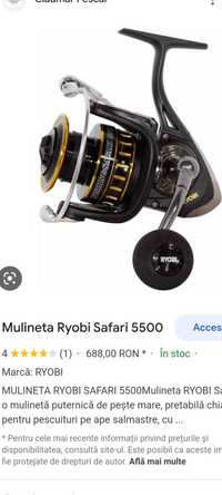 Mulineta Ryobi Safary 5500