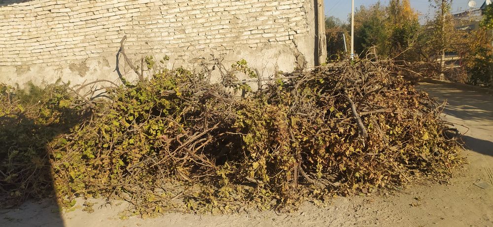 Tez va arzon sotiladi