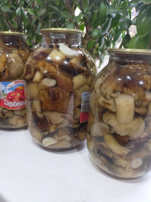 Продам грибы Валуи