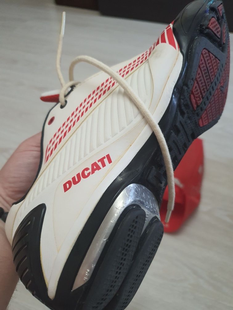 Puma Ducati  Nr. 42