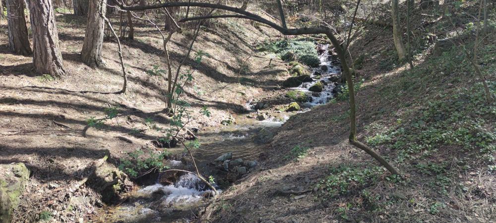 Продава се Парцел в София, Бояна - 18000 кв.м за 5 €/кв.м - Снимка #7