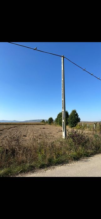 Teren de vânzare în valea moldovei