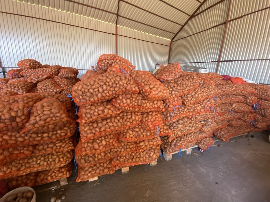 Cartofi pentru animale