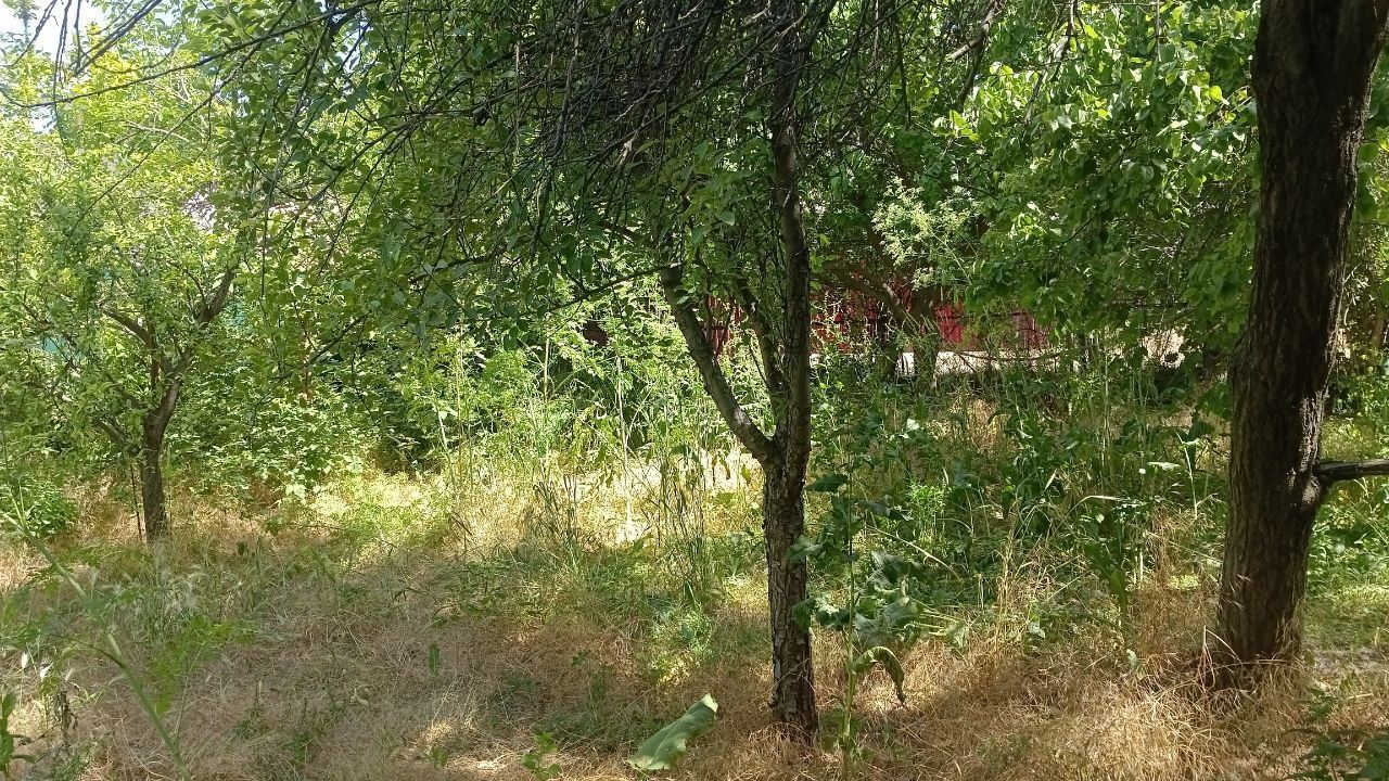 Продажа дачного участка или обменяю на 1 кв