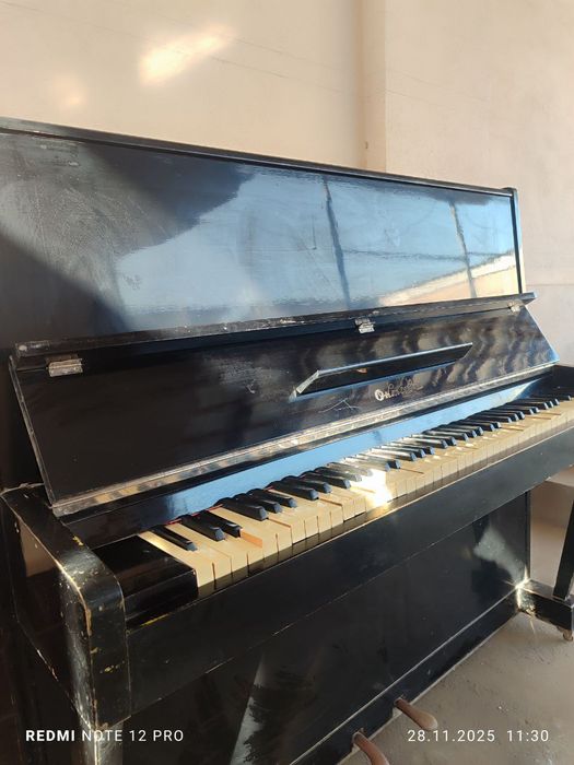 Oktava holati yaxshi