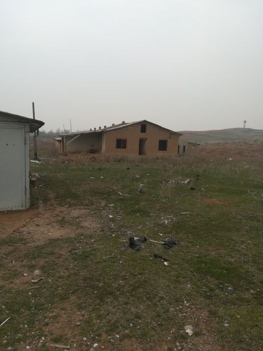 Кибрай майский 4 гектара по супер цене