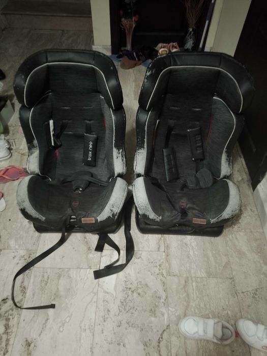 Столчета за кола Chipolino trac neo