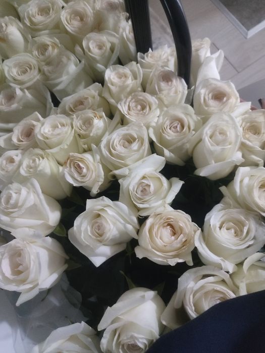 Белый роза 31 шт 13 000тг