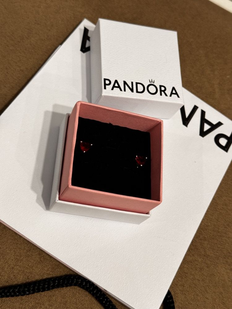 Пандора обеци Семейна топлина Pandora
