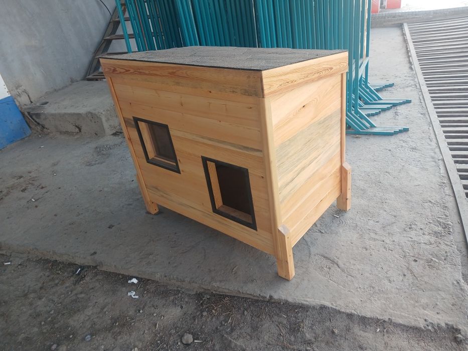 It yoki mushuk uchun uy