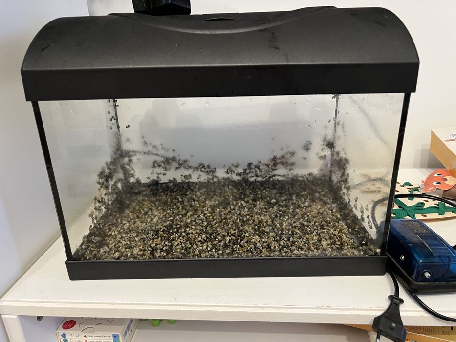 vand acvariu Diversa 25L