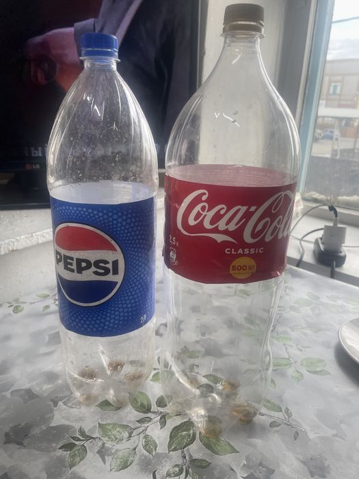 Пластиковые бутылки