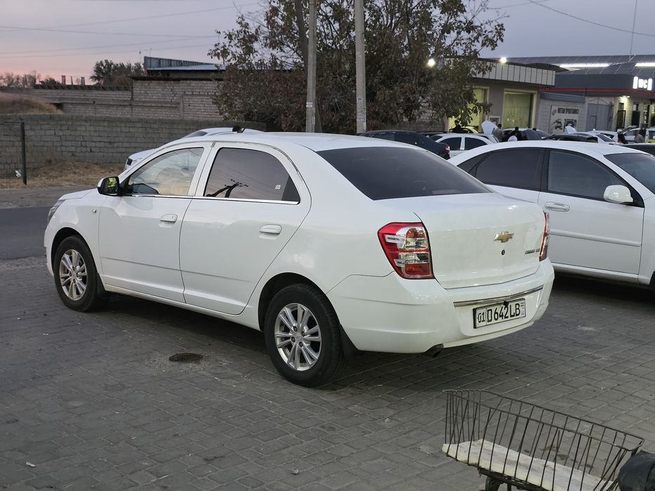 Cobalt 2020 Metani Bor