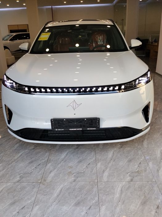 Dongfeng ep 008 Max