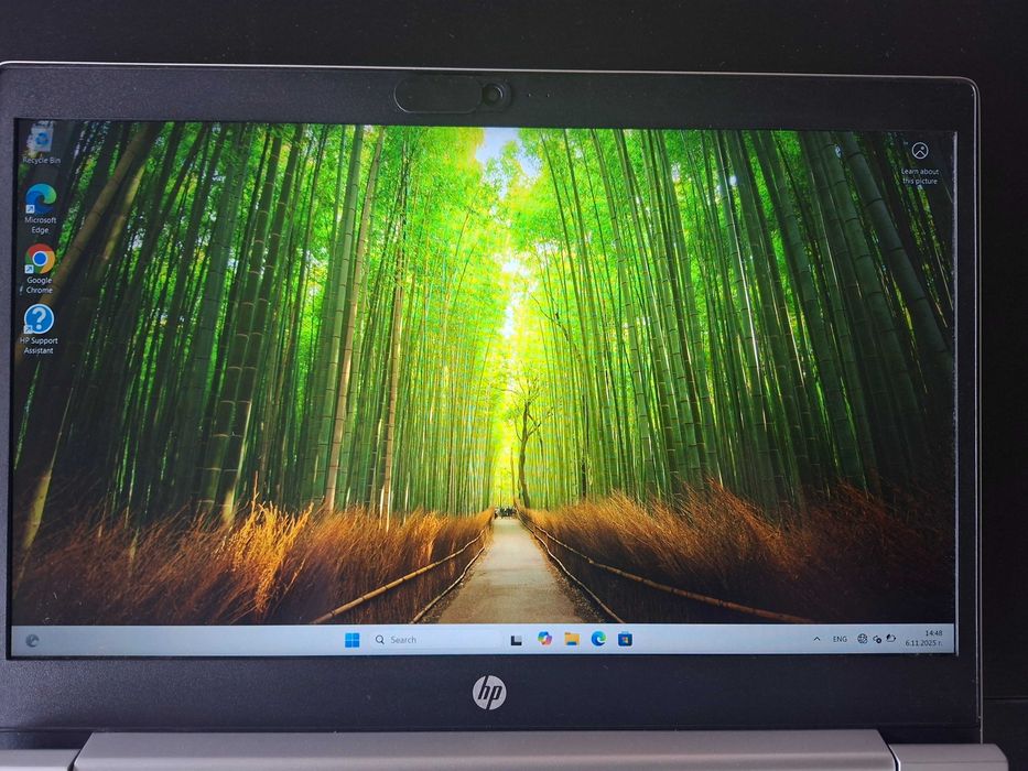 Лаптоп HP Probook 450 G6