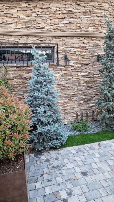 Piatra naturala decorativa gradina travertin marmura calcar