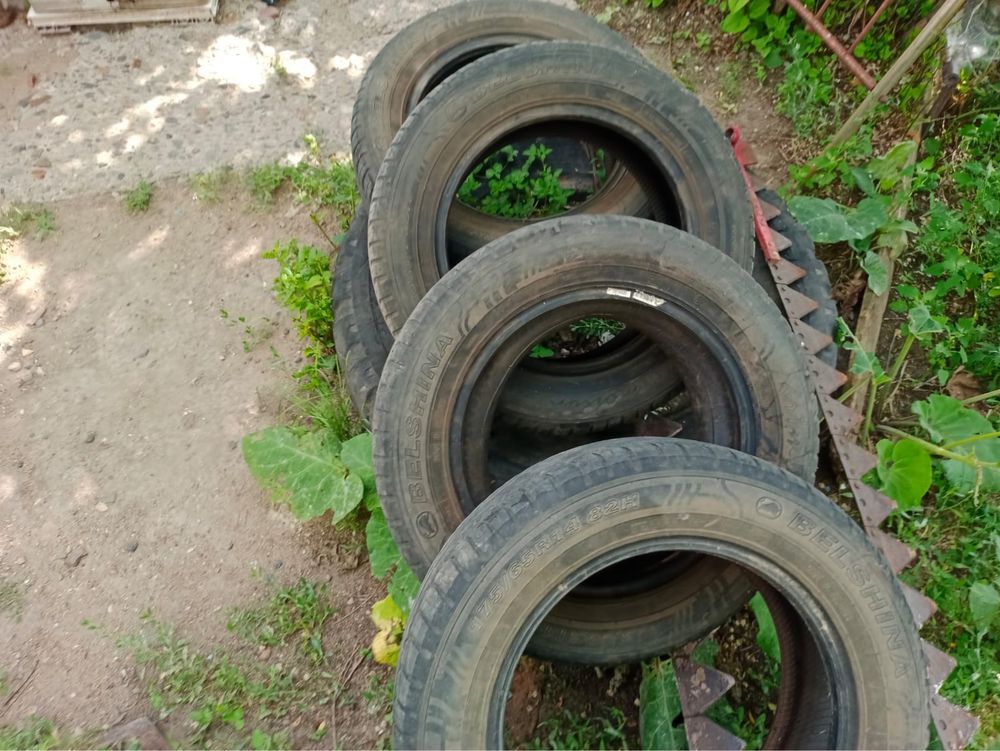 Продам летние шины в хорошем состоянии