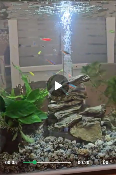 Acvariu Biorb Flow 30 de L