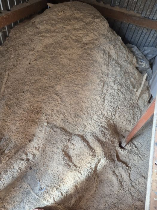 Опилки сосновый.