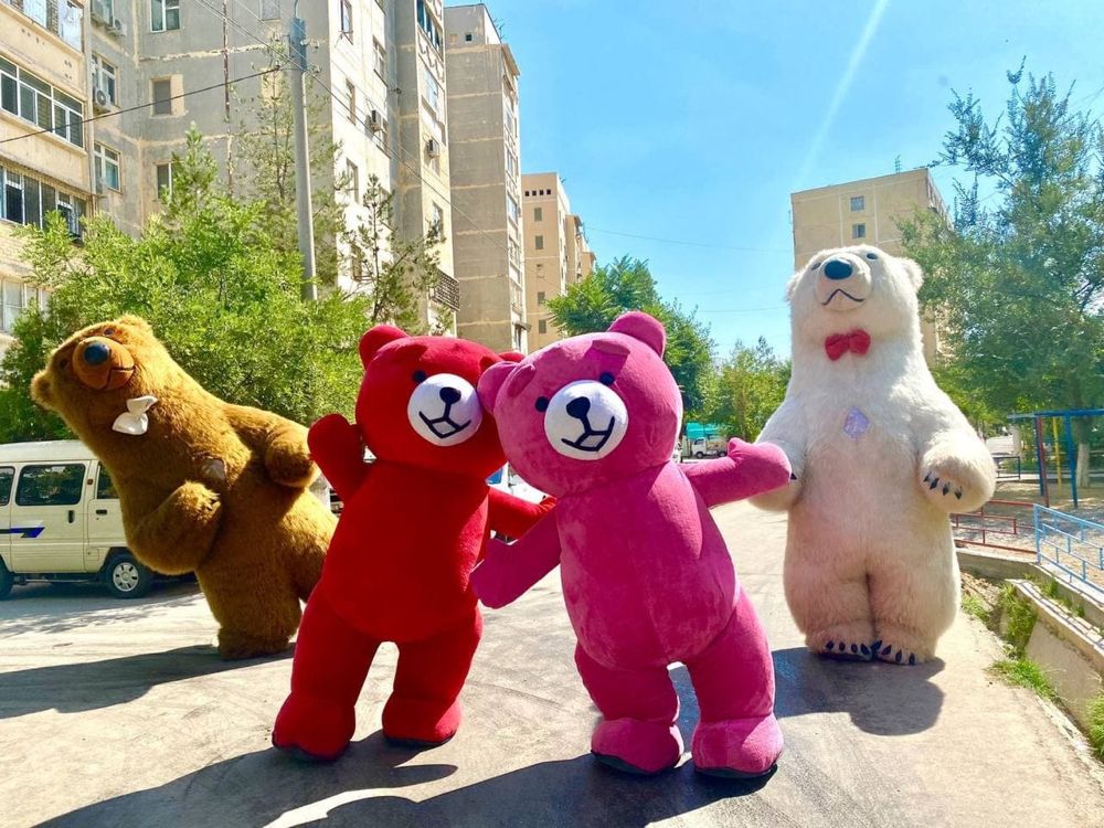 Ayiqlar Raddomga oformleniya foto video kalonka
