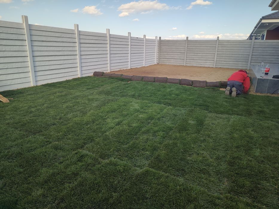 Gazon rulou sport 24 de lei m2 transport și montaj inclus în preț.