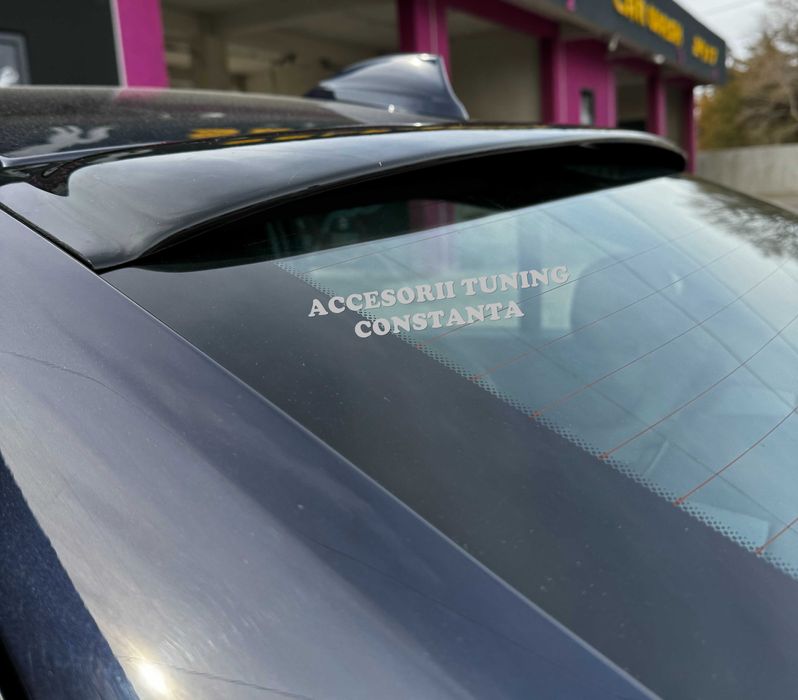 Eleron Luneta - BMW F30 Seria 3 V2