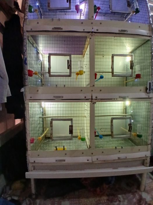 Клетка Валер  Капас кушла темрдон аценковкадан ясалгантемир ва аценков