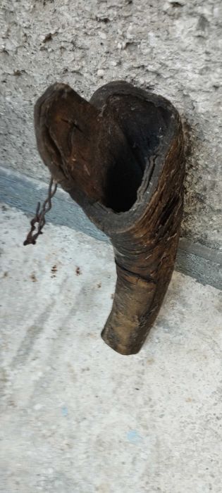 Стар катранник от биволски рог