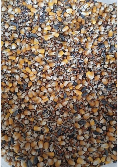 Amestec cereale pentru porumbei,păsări,din 8 semințe