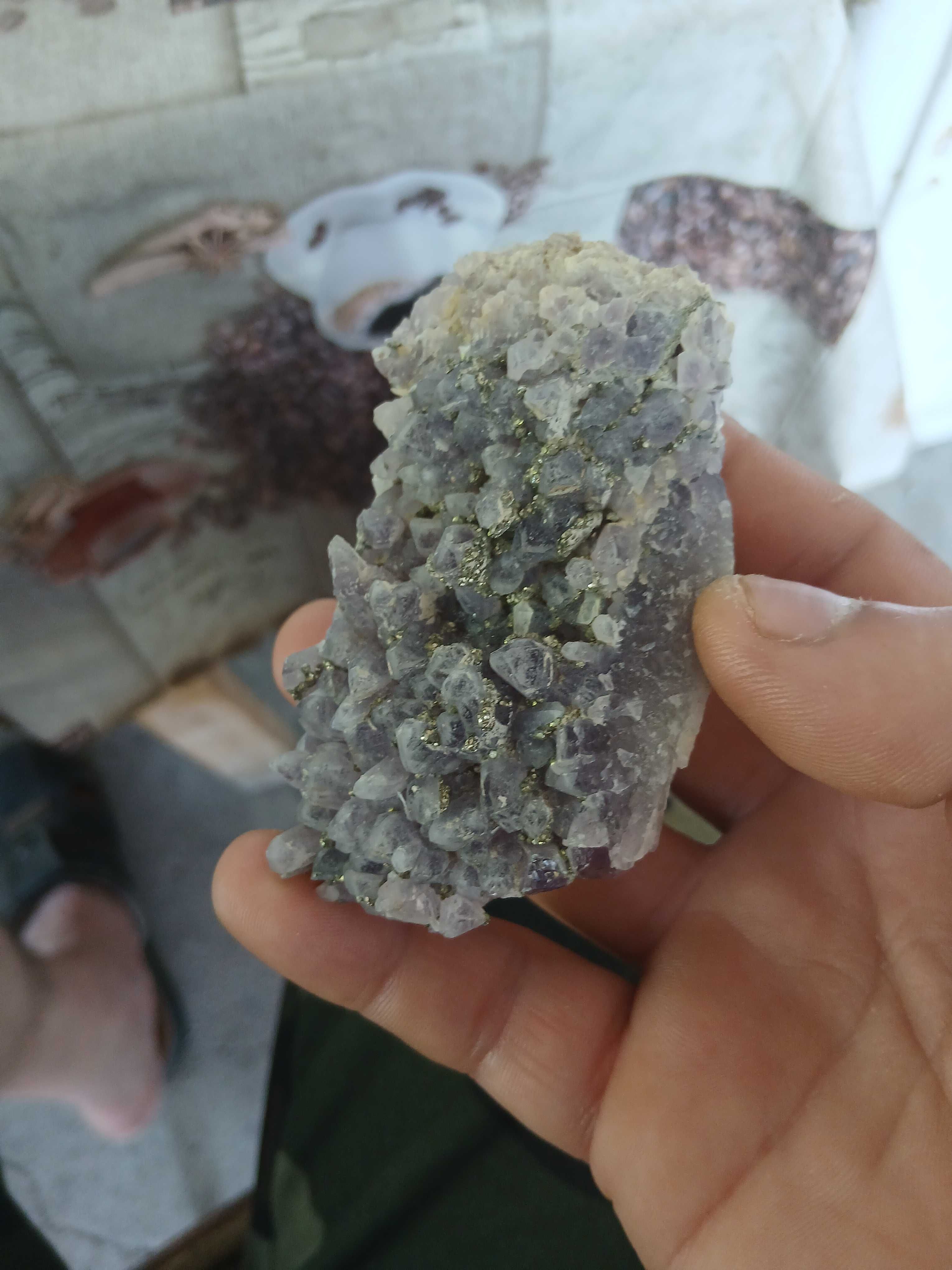 Лот от 6 друзи аметист,със пирит от България.