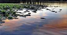 Teren  Snagov (aproape de lac)
