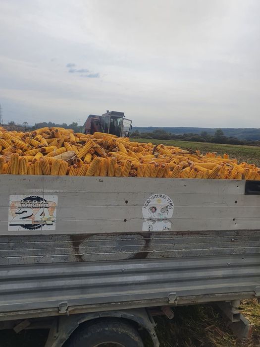 Culegatoare de porumb Bourgoin pe 4 randuri