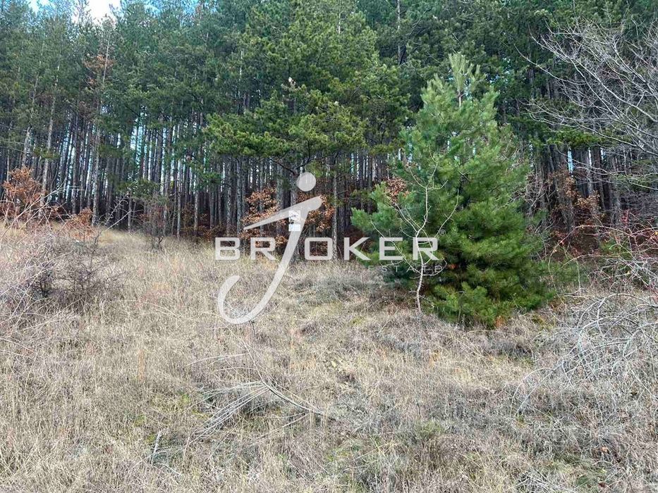 Продава се Парцел в с. Брош, Област Кърджали - 1000 кв.м за 95 €/кв.м - Снимка #2