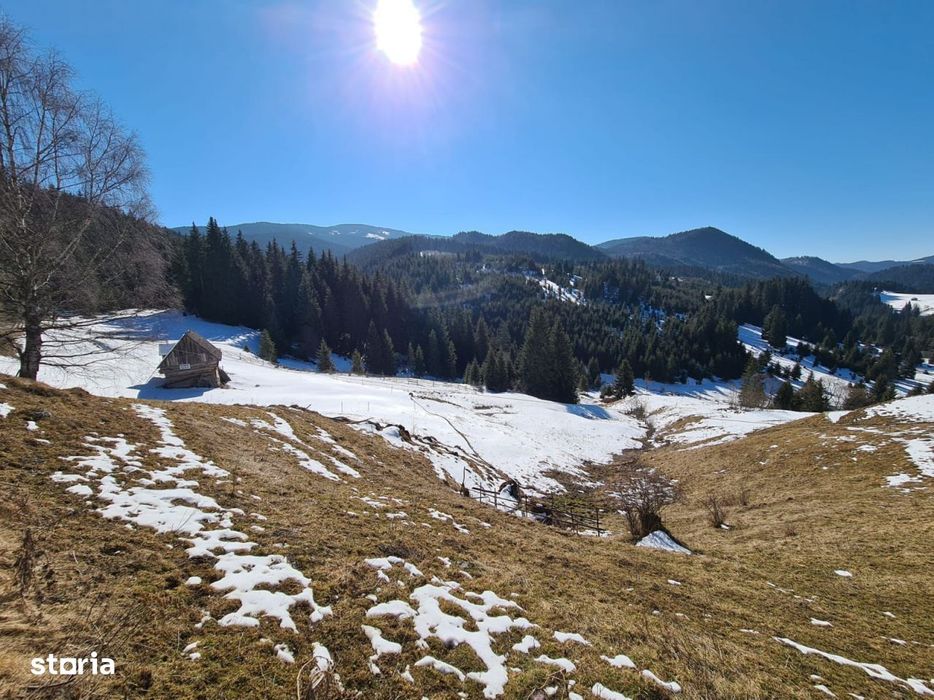 Teren situat langa padure de Vanzare