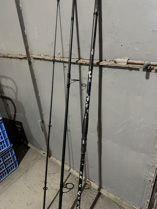 Карпавик Каида и Сталкер