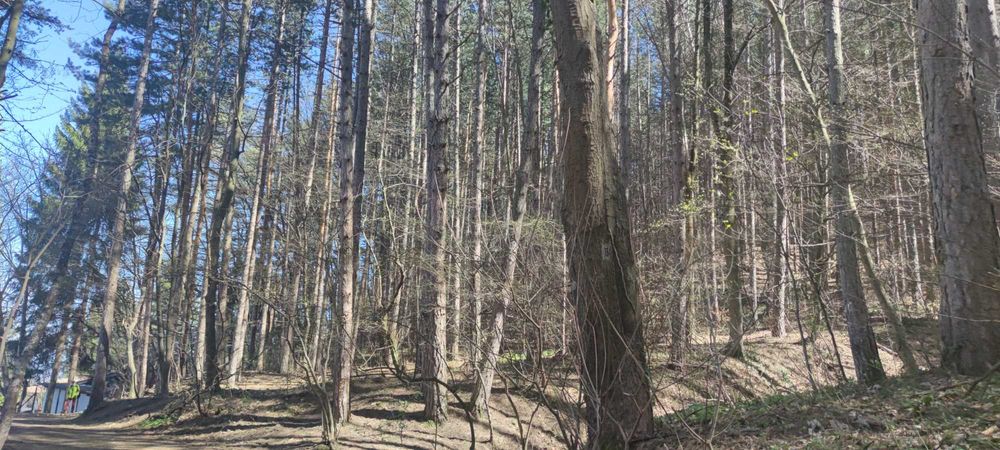 Продава се Парцел в София, Бояна - 18000 кв.м за 5 €/кв.м - Снимка #6