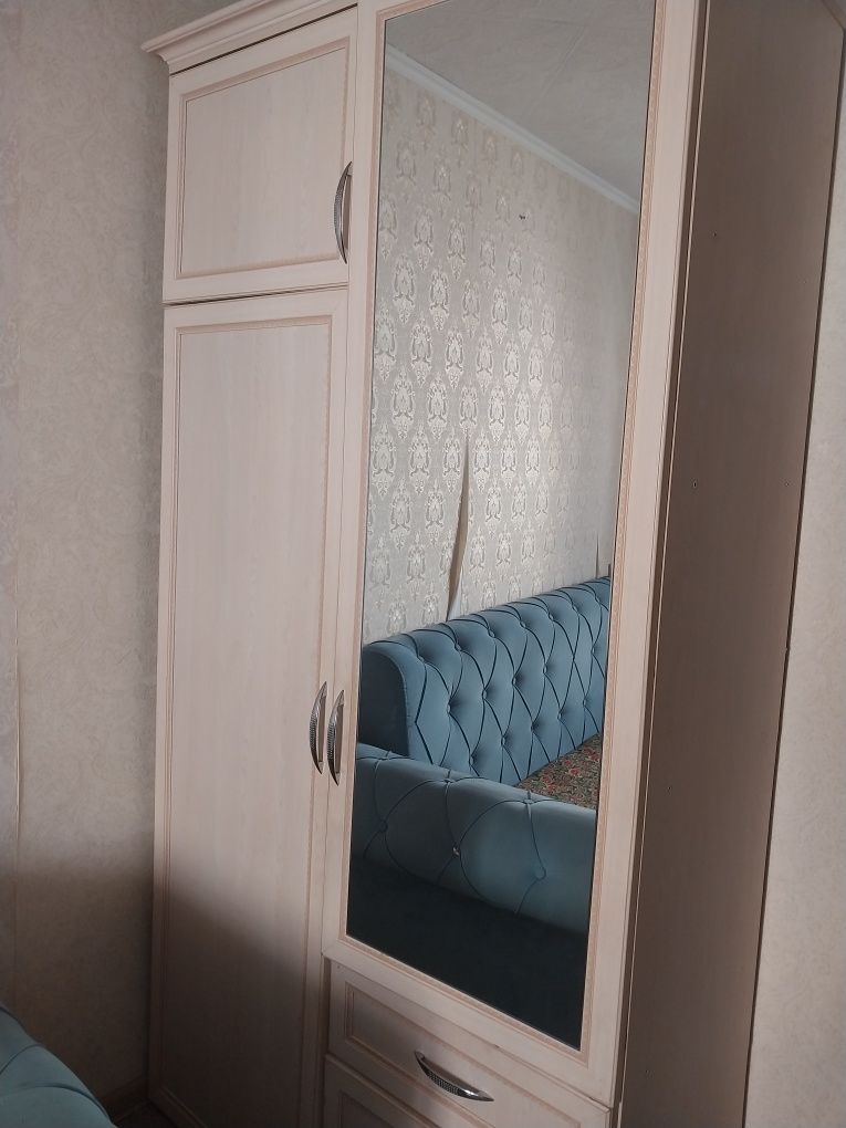 Шкаф с зеркалом для спальней комнаты