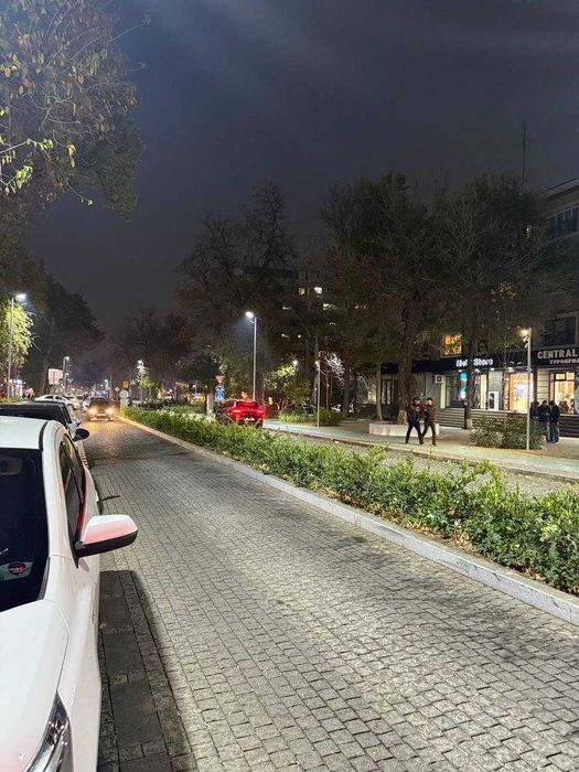 Сдаётся просторное коммерческое помещение в центре города Ц-1, 1 линия