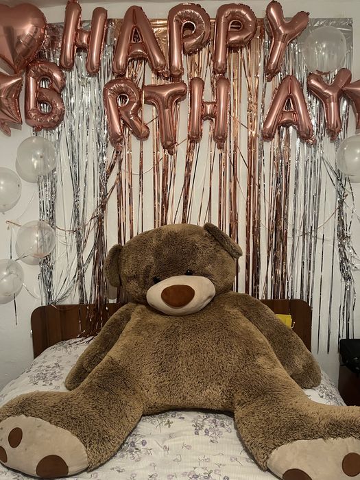 Teddy мишка 2 метр