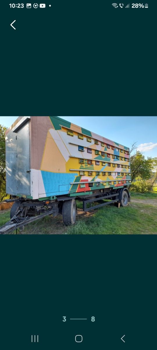 Vand 90 Familii de albine